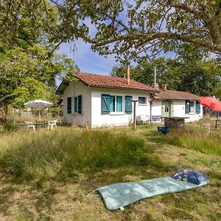 Petite Maison Rustique Et Atypique Hourtin Eksteriør billede