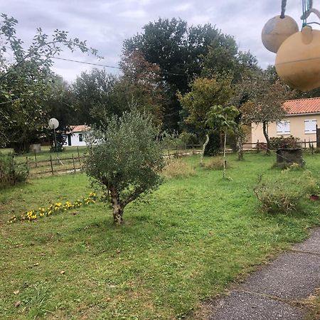 Petite Maison Rustique Et Atypique Hourtin Eksteriør billede