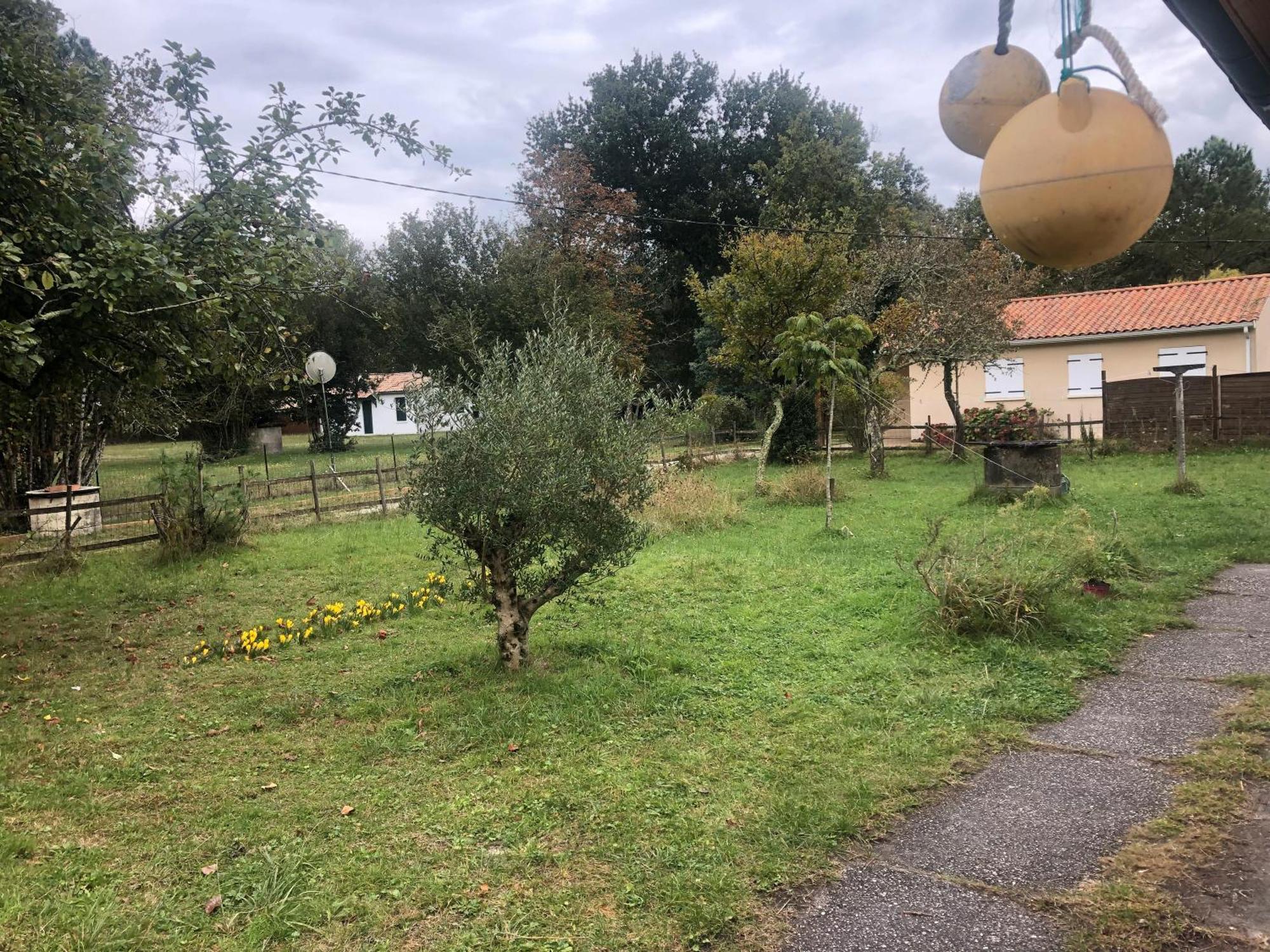 Petite Maison Rustique Et Atypique Hourtin Eksteriør billede
