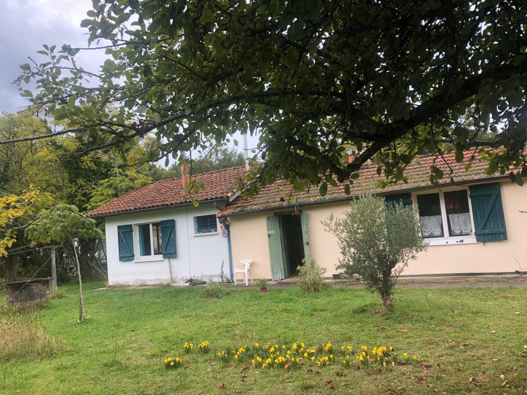 Petite Maison Rustique Et Atypique Hourtin Eksteriør billede